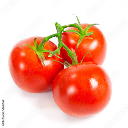 Photo: Closeup of tomatoes on the vine isolated on white. Tomato branch Closeup of tomatoes on the vine isolated on white. Tomato branch