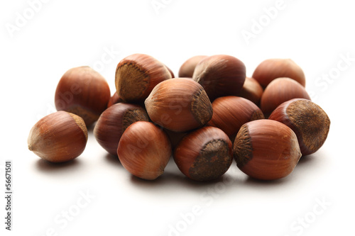 Photo: Fresh hazelnuts Fresh hazelnuts
