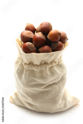 Photo: Fresh hazelnuts Fresh hazelnuts
