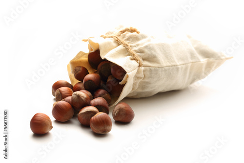 Photo: Fresh hazelnuts Fresh hazelnuts