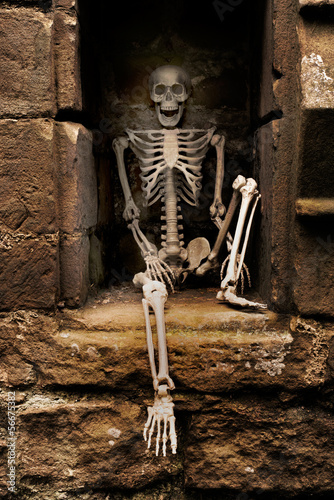 Photo: Skeleton Skeleton