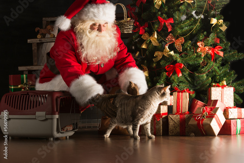 Photo: Santa Claus making a most wanted gift to a child placing cute ca Santa Claus making a most wanted gift to a child placing cute ca
