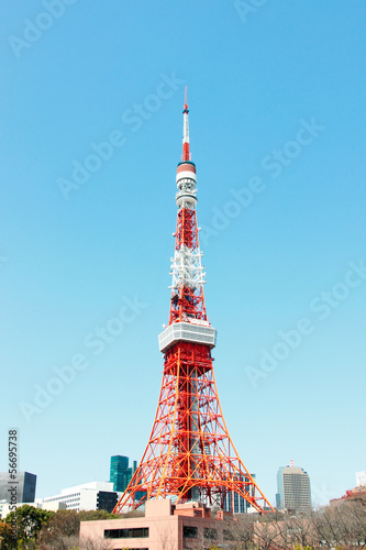 Photo: 東京タワー 東京タワー