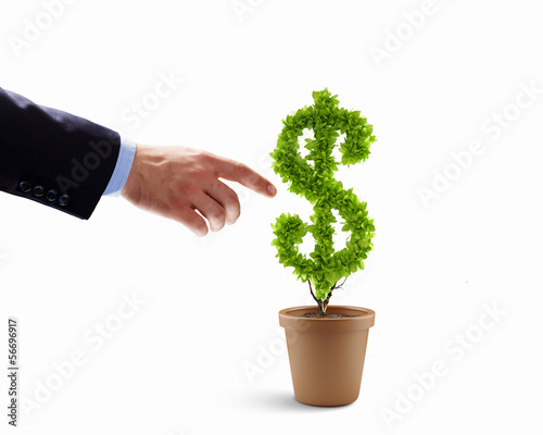 Photo: Growth concept Growth concept