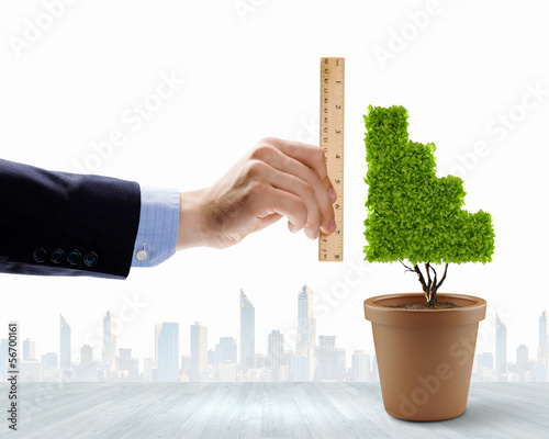 Photo: Growth concept Growth concept