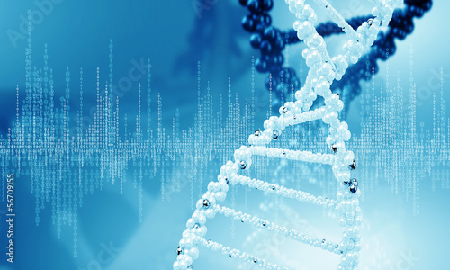 Photo: DNA molecule DNA molecule
