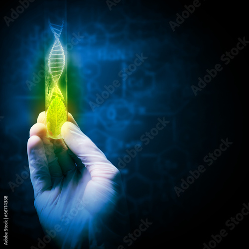 Photo: DNA molecule DNA molecule