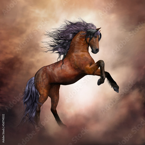 Illustration: Wildes Pferd Wildes Pferd