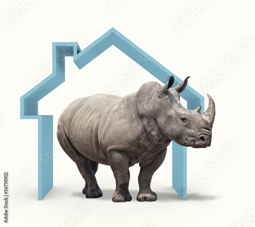 Photo: solid house solid house