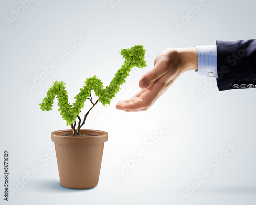 Photo: Growth concept Growth concept