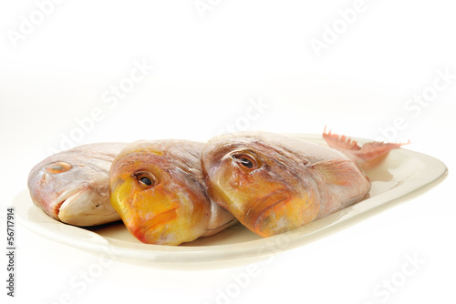Photo: Pesce fresco pescato Pesce fresco pescato