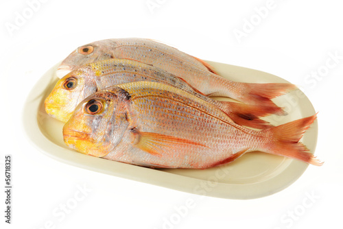 Photo: Pesce fresco pescato Pesce fresco pescato