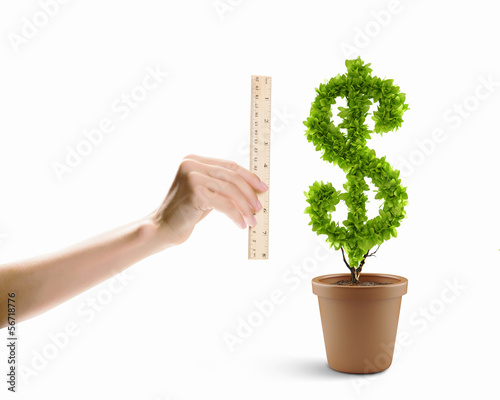 Photo: Earning money Earning money