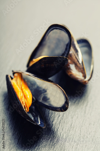 Photo: Mussels Mussels