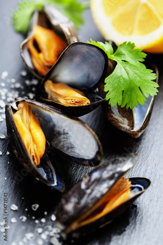Photo: Mussels Mussels