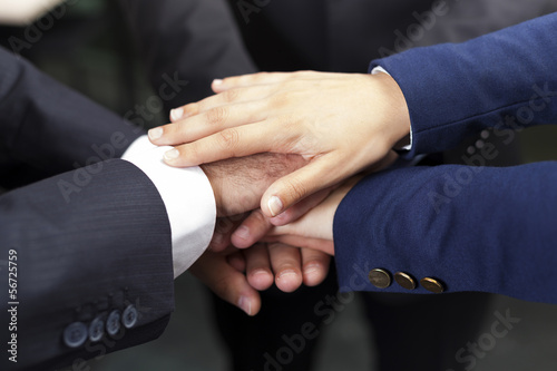 Photo: Business team showing union with their hands together forming a Business team showing union with their hands together forming a