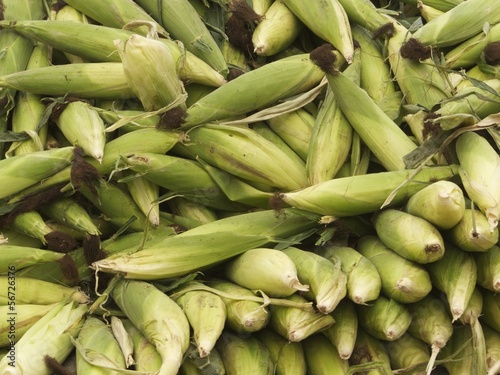 Photo: Maiskolben in grünen Blättern auf einem Markt in der Türkei Maiskolben in grünen Blättern auf einem Markt in der Türkei