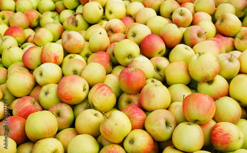 Photo: Äpfel Äpfel