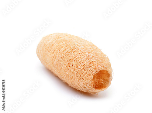 Photo: loofah on white background loofah on white background