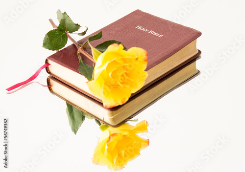 Photo: Yellow Rose over a Bible Yellow Rose over a Bible