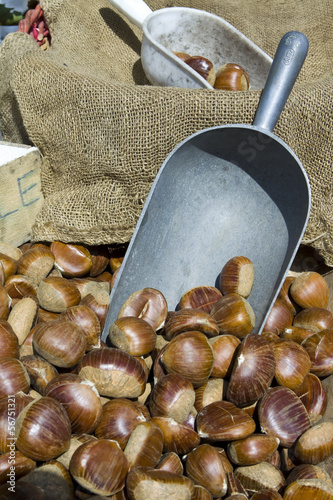 Photo: Castagne Castagne