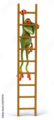 Illustration: Frog Frog