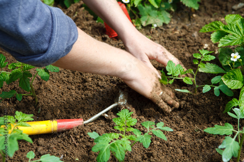 Photo: Jardinage eco durable Jardinage eco durable