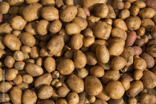 Photo: Patatas Patatas