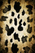 Cow pattern Cow pattern