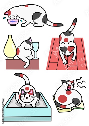 Vector: 猫、いろいろ行動 猫、いろいろ行動