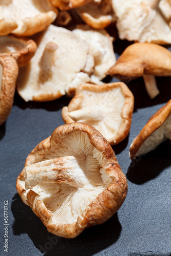 Photo: Shiitake Mushrooms Shiitake Mushrooms