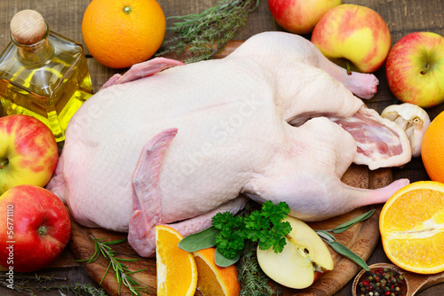 Photo: Geflügel Geflügel