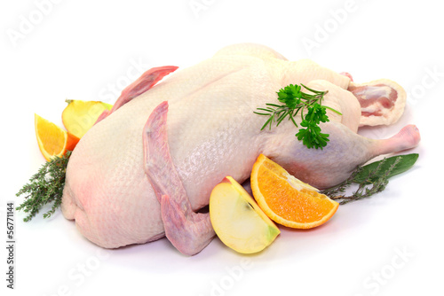 Photo: Obst, Ente Obst, Ente