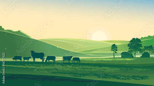 Vector: Summer morning Summer morning