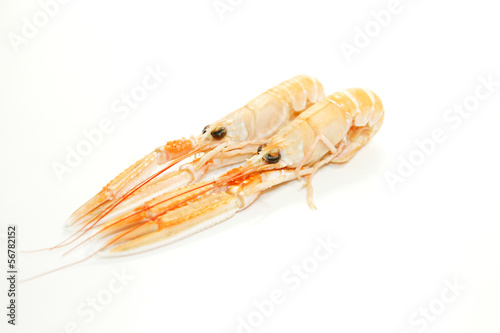 Photo: langoustines langoustines