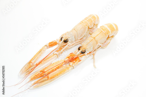Photo: langoustines langoustines