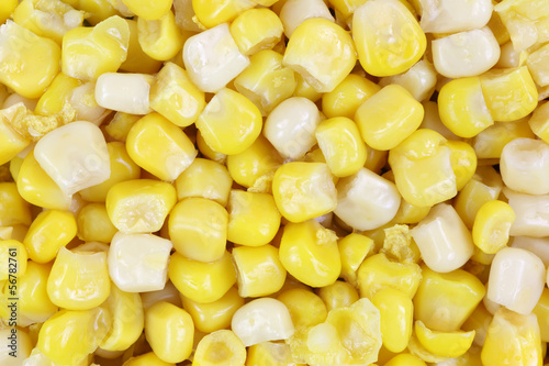 Photo: Gold White Corn Kernels up Close Gold White Corn Kernels up Close