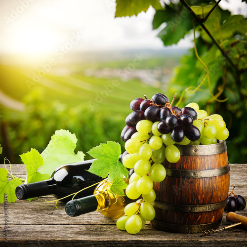 Fototapeta Bottles of red and white wine with fresh grape