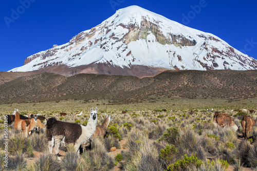 Photo: Mountains in Bolivia Mountains in Bolivia
