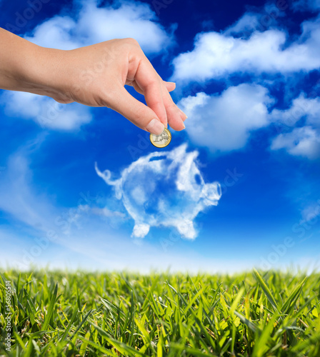 Photo: dreams in the piggy bank dreams in the piggy bank