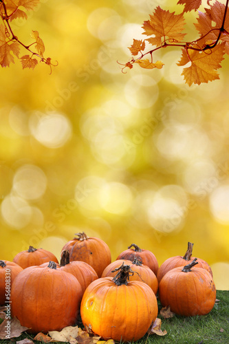 Photo: kürbisse mit herbstlaub kürbisse mit herbstlaub