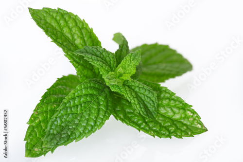 Photo: Fresh mint in closeup Fresh mint in closeup
