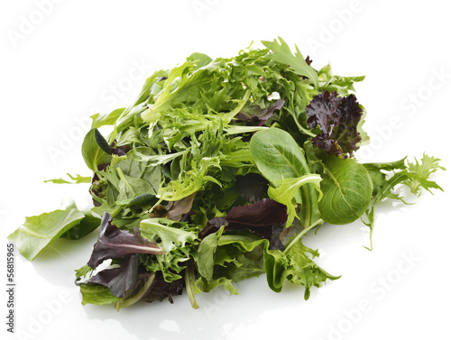 Photo: Salad Leaves Salad Leaves