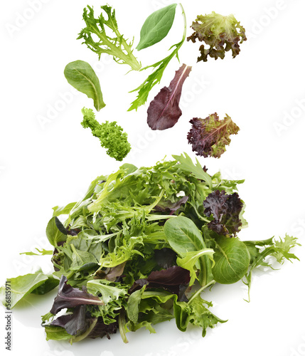 Photo: Salad Leaves Salad Leaves