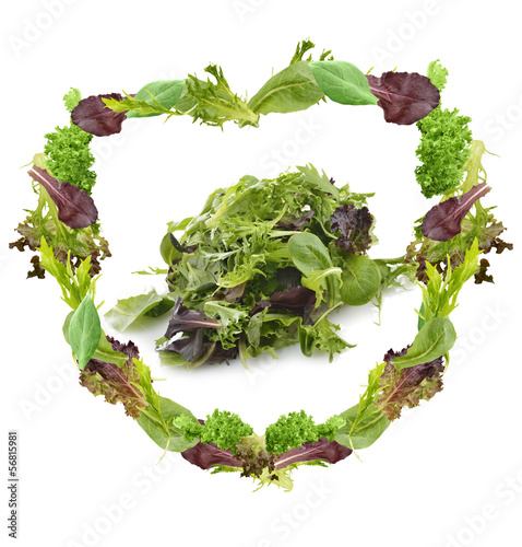 Photo: Salad Leaves Salad Leaves