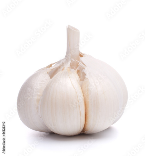 Photo: garlic bulb garlic bulb