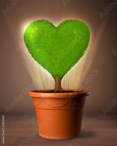 Photo: Eco heart tree coming out from flowerpot Eco heart tree coming out from flowerpot