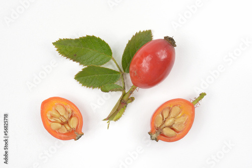 Photo: Hagebutten mit Querschnitt Hagebutten mit Querschnitt