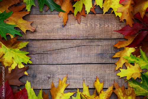 Photo: Herbstblätter Herbstblätter