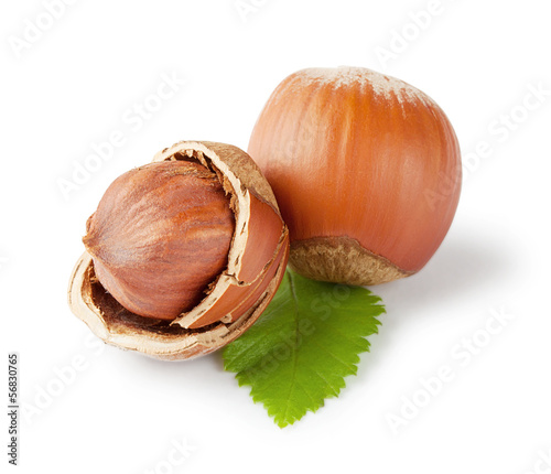 Photo: Whole and chopped hazel nuts Whole and chopped hazel nuts